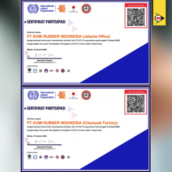 Aktivitas Surindo Melawan Covid-19 Mendapat Sertifikat ILO Thumbnail